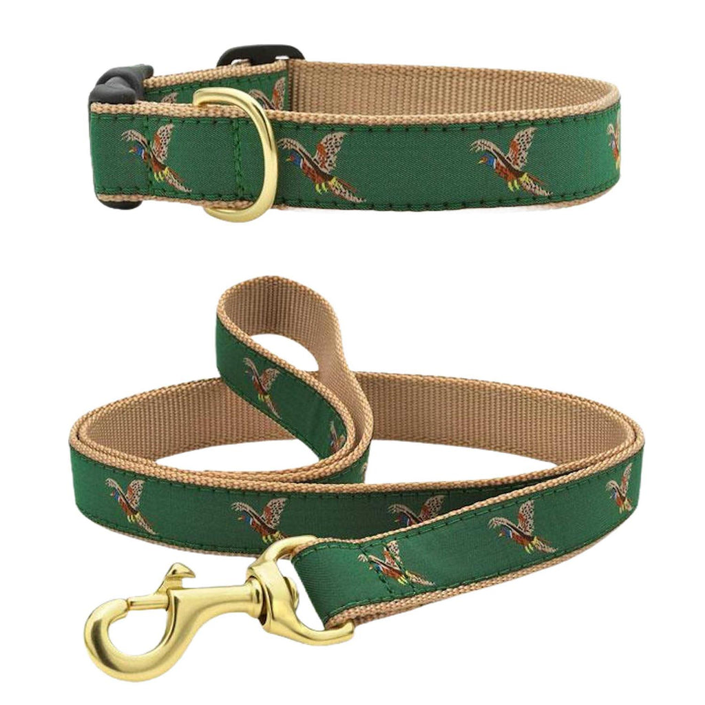 Dog Collar G784