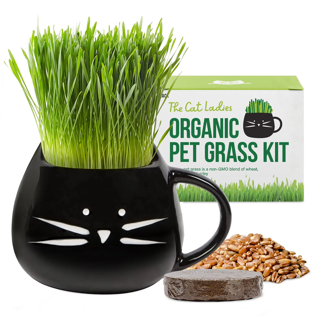 Organic Cat Grass Growing Kit with Mug Planter V713332