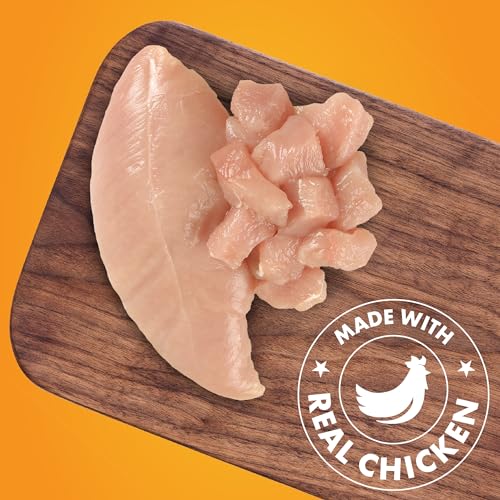 Chicken Jerky Dog Treats 16 oz G761