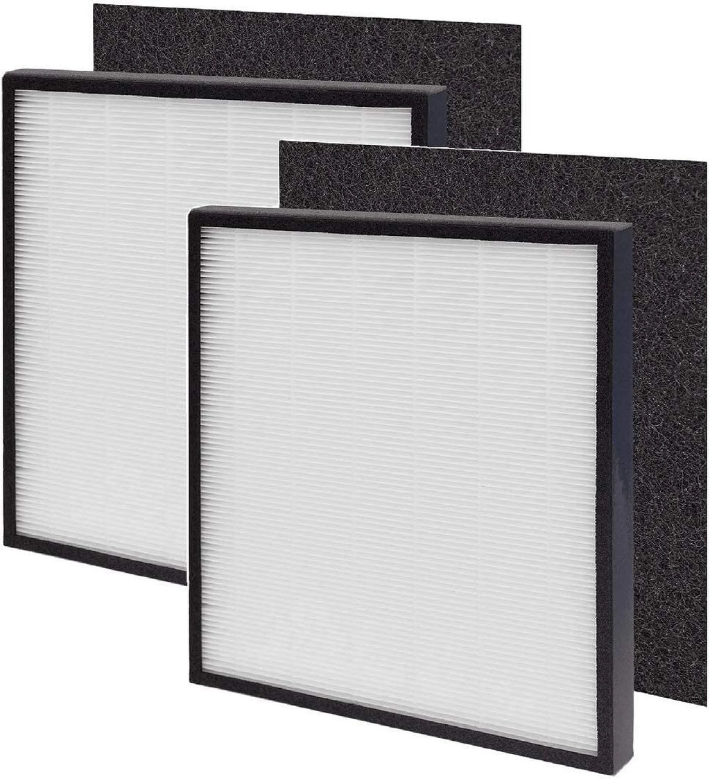 True HEPA Carbon Filter J Replacement, 2 Pack G6071