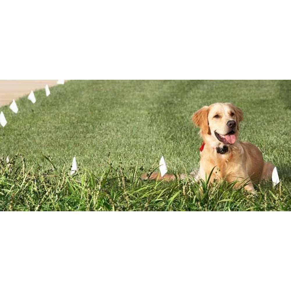Electric Dog Fence Boundary Flags V68546