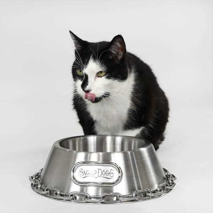 Pet Bowl B98348
