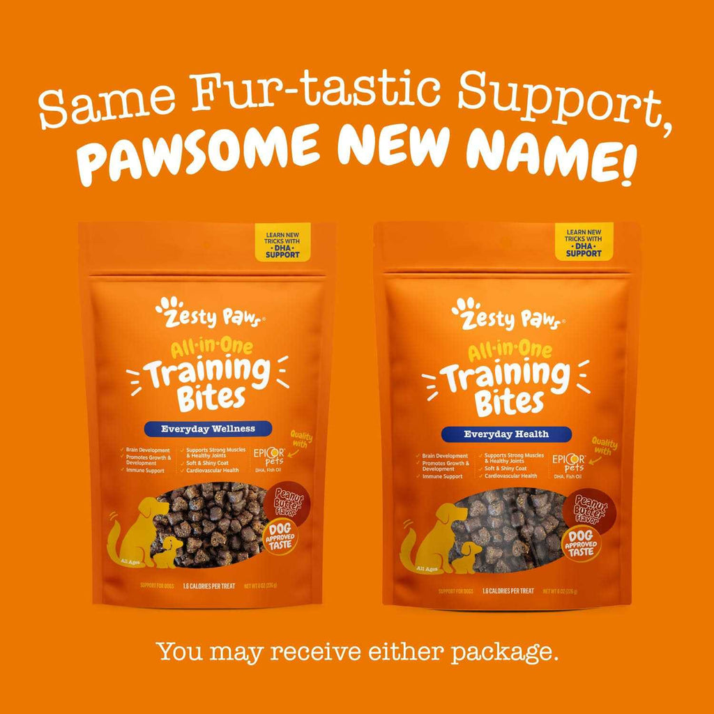 Training Treats for Dogs D71751