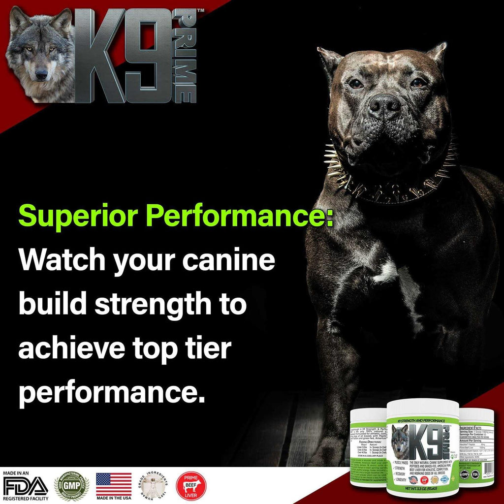 Dog Performance Pet Supplies Z189