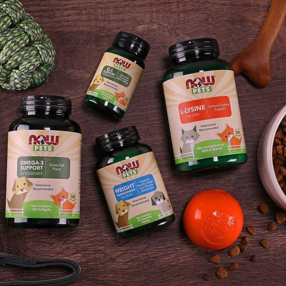 Weight Management for Dogs B2617