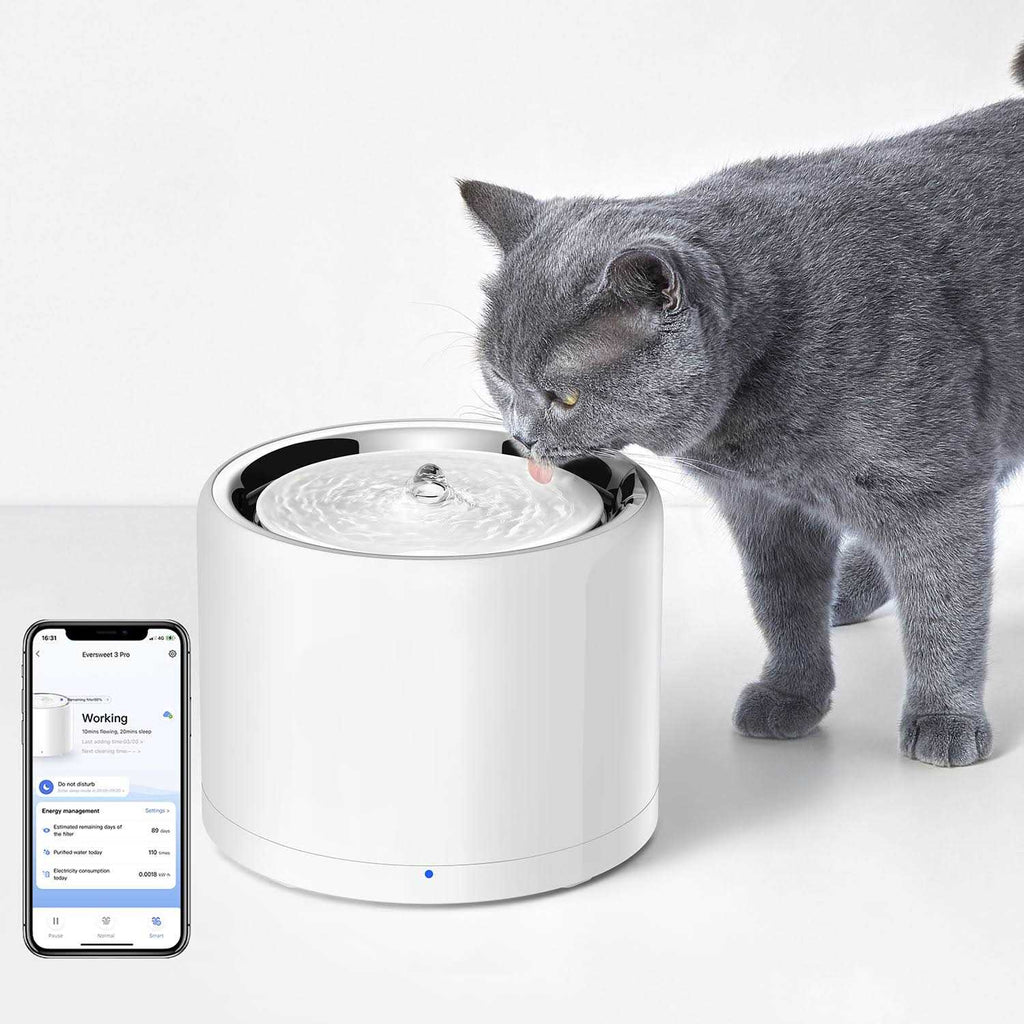 Pet Water Fountain D477171