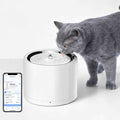 Pet Water Fountain D477171