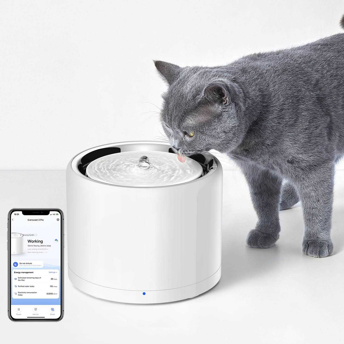 Pet Water Fountain D477171