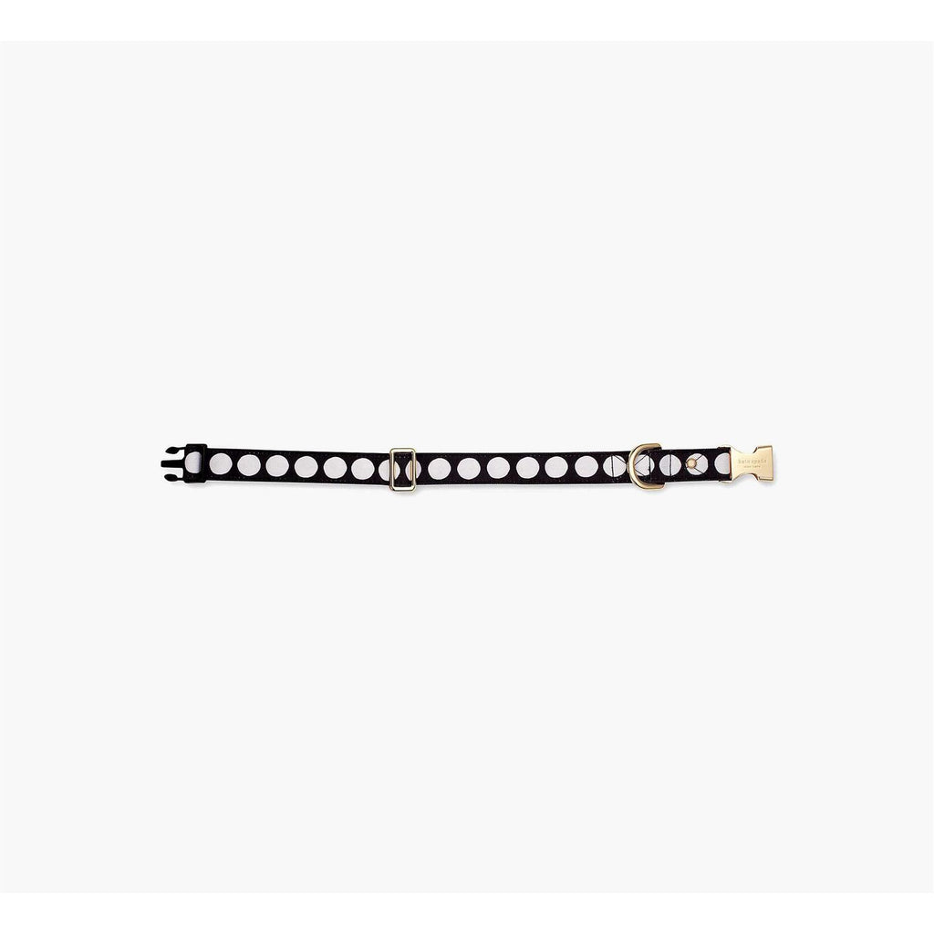 Dog Collar Z495