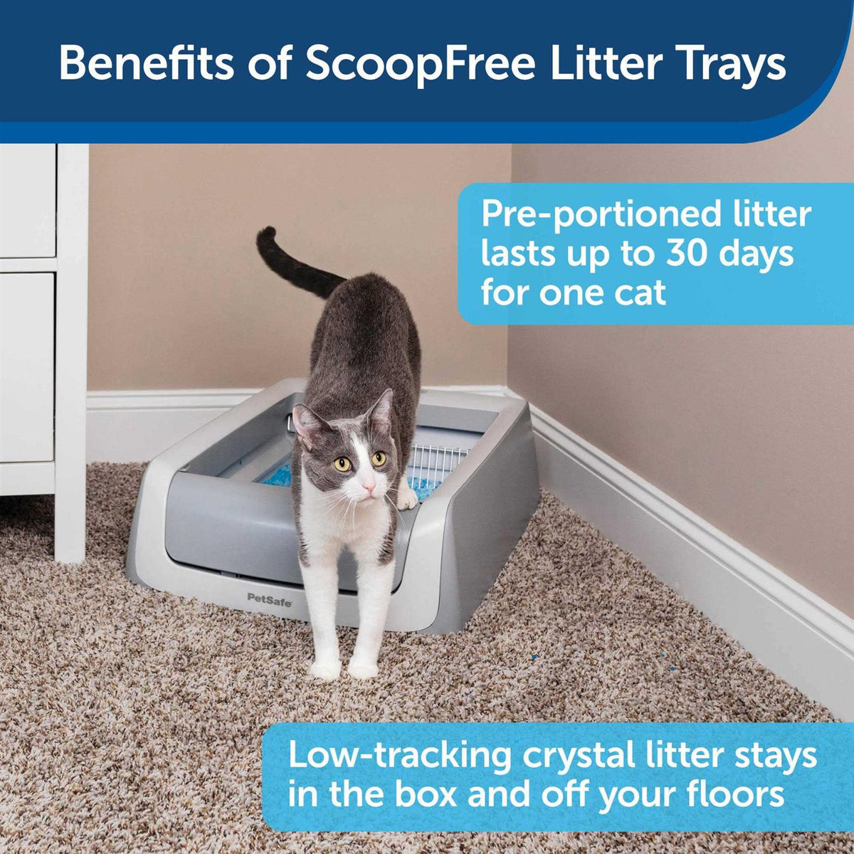 Litter Tray G392011
