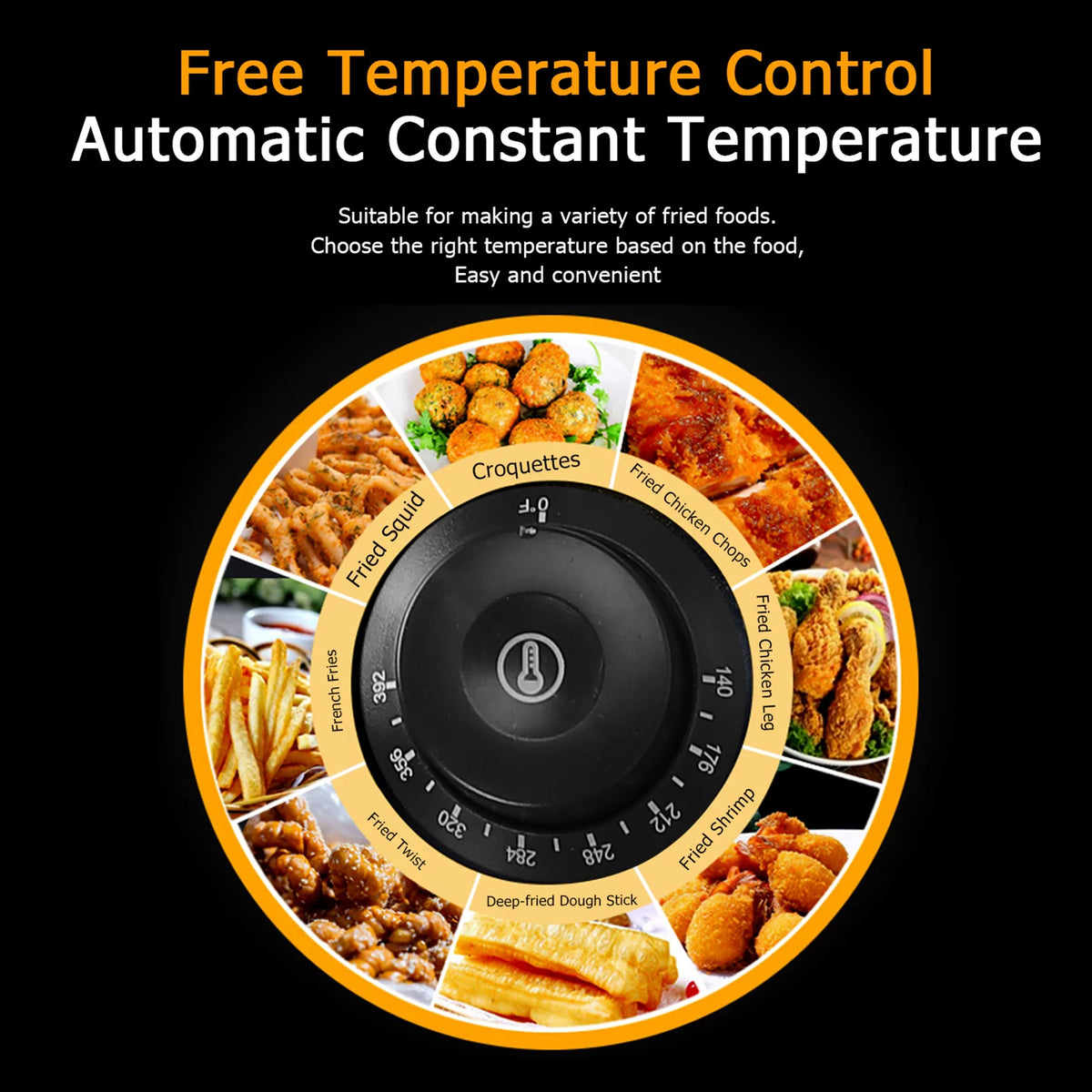 5000W 12L Stainless Steel Electric Fryer L493