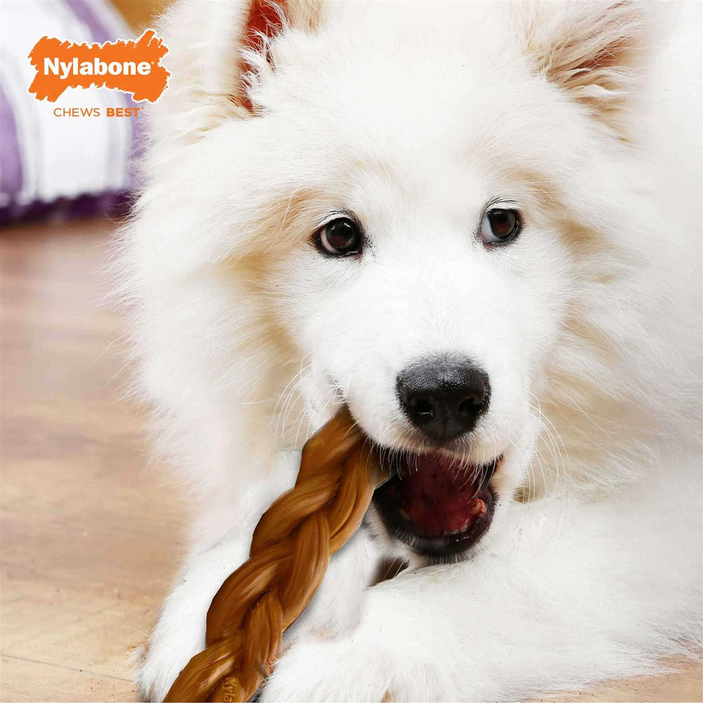 Braided Bully Stick A738