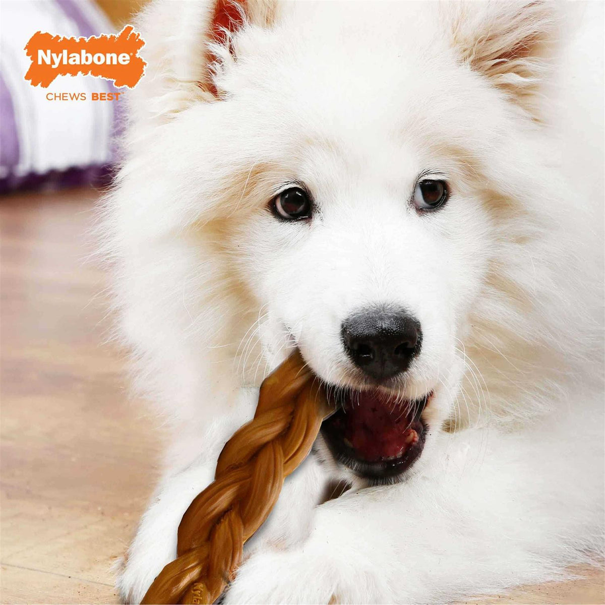 Braided Bully Stick A738