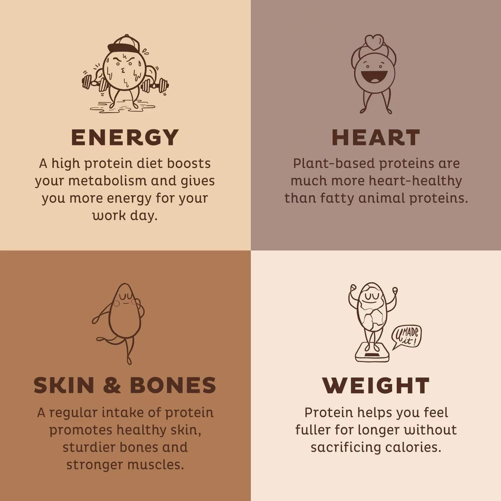 Chocolate Peanut Butter Plant Based Protein Powder X73520