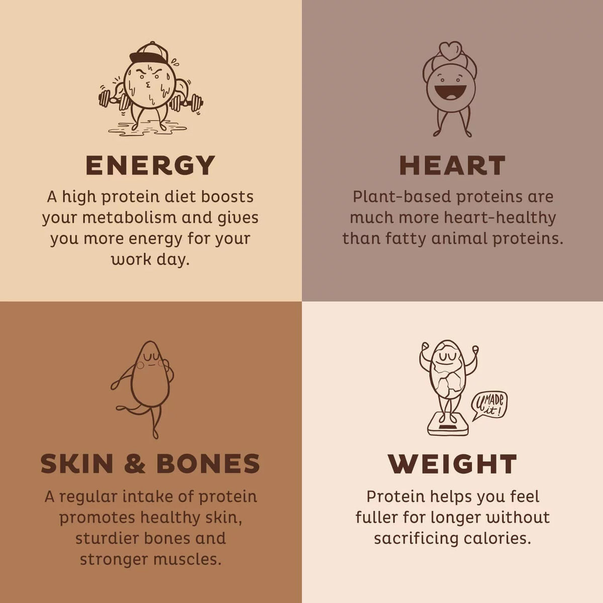 Chocolate Peanut Butter Plant Based Protein Powder X73520