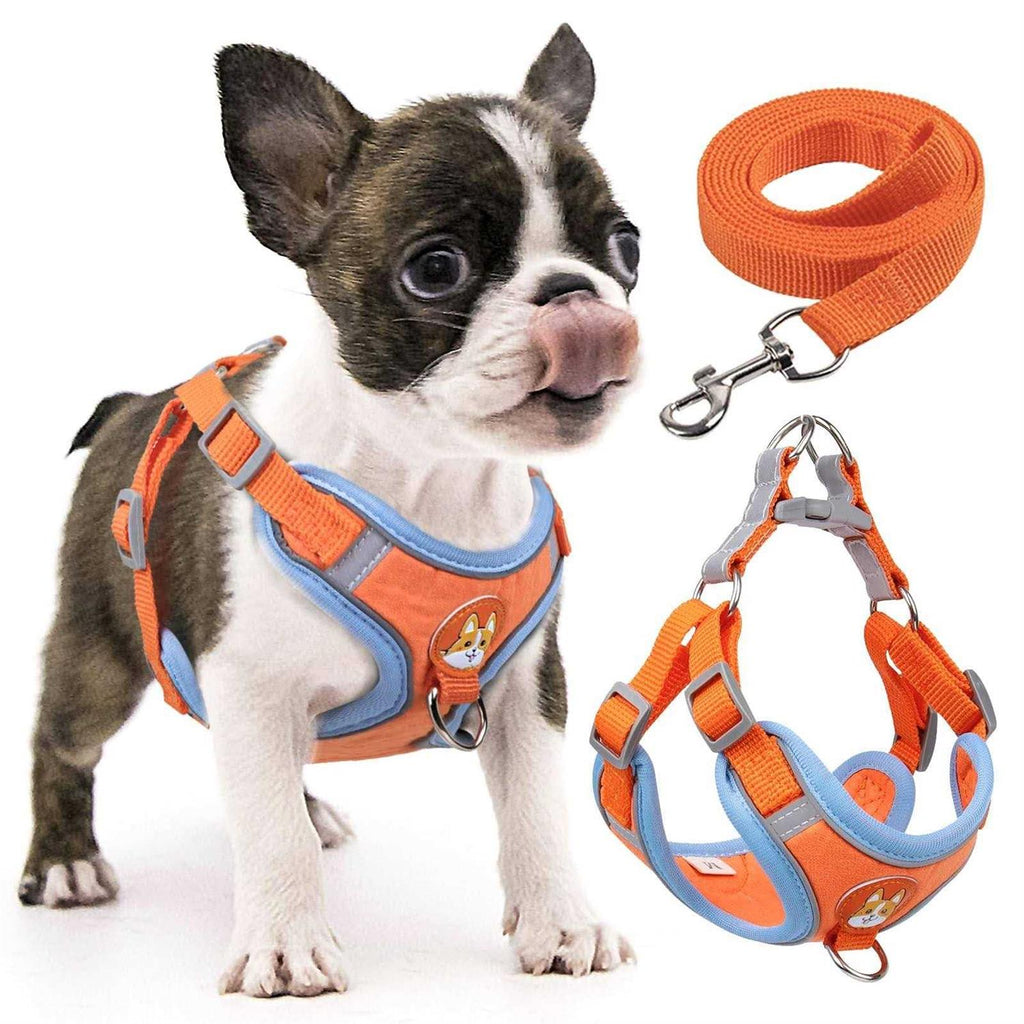 Adjustable Padded Reflective Dog Harness with 2 Leash Clips Z184