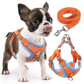 Adjustable Padded Reflective Dog Harness with 2 Leash Clips Z184