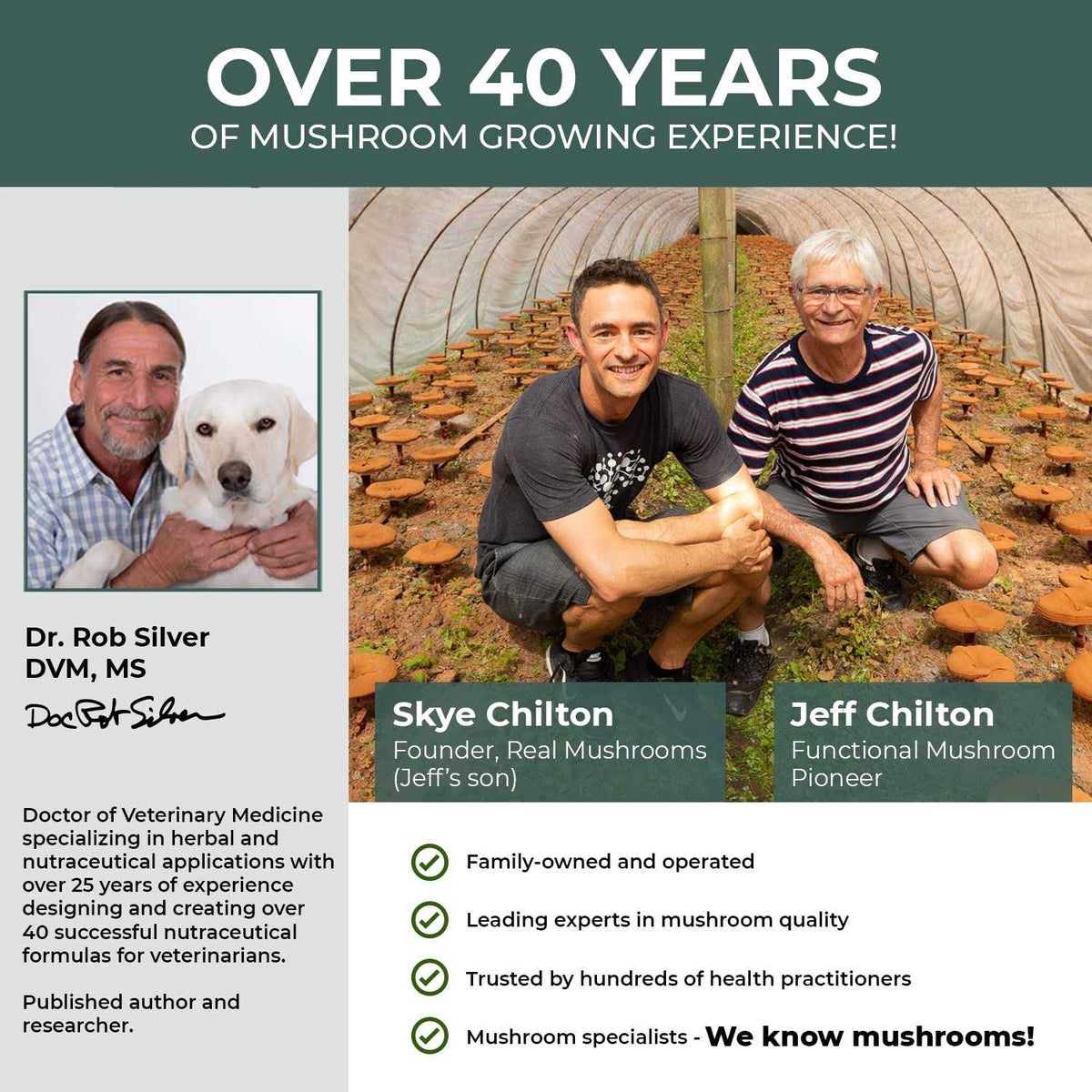 Turkey Tail Extract Capsules for Pets R65272