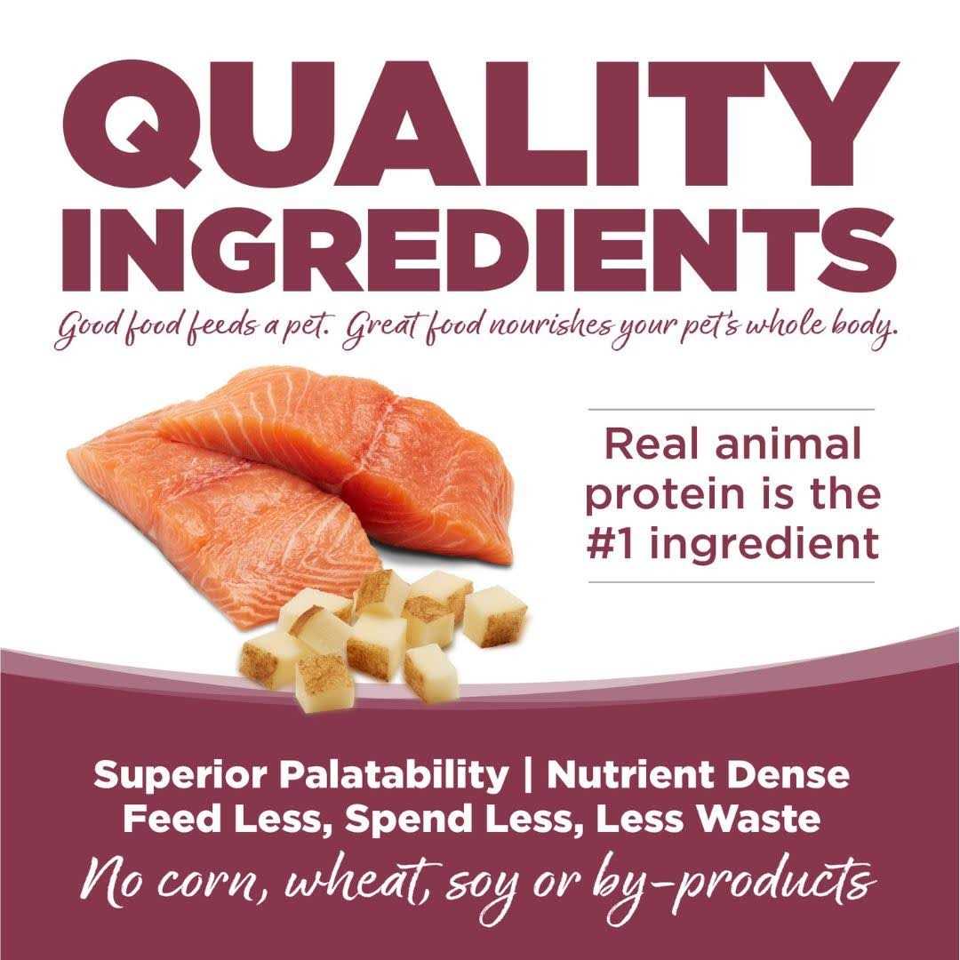 Salmon Potato Dry Dog Food G16324