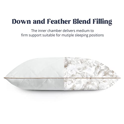 Goose Feathers and Down Pillow Set of 2 Queen F71021