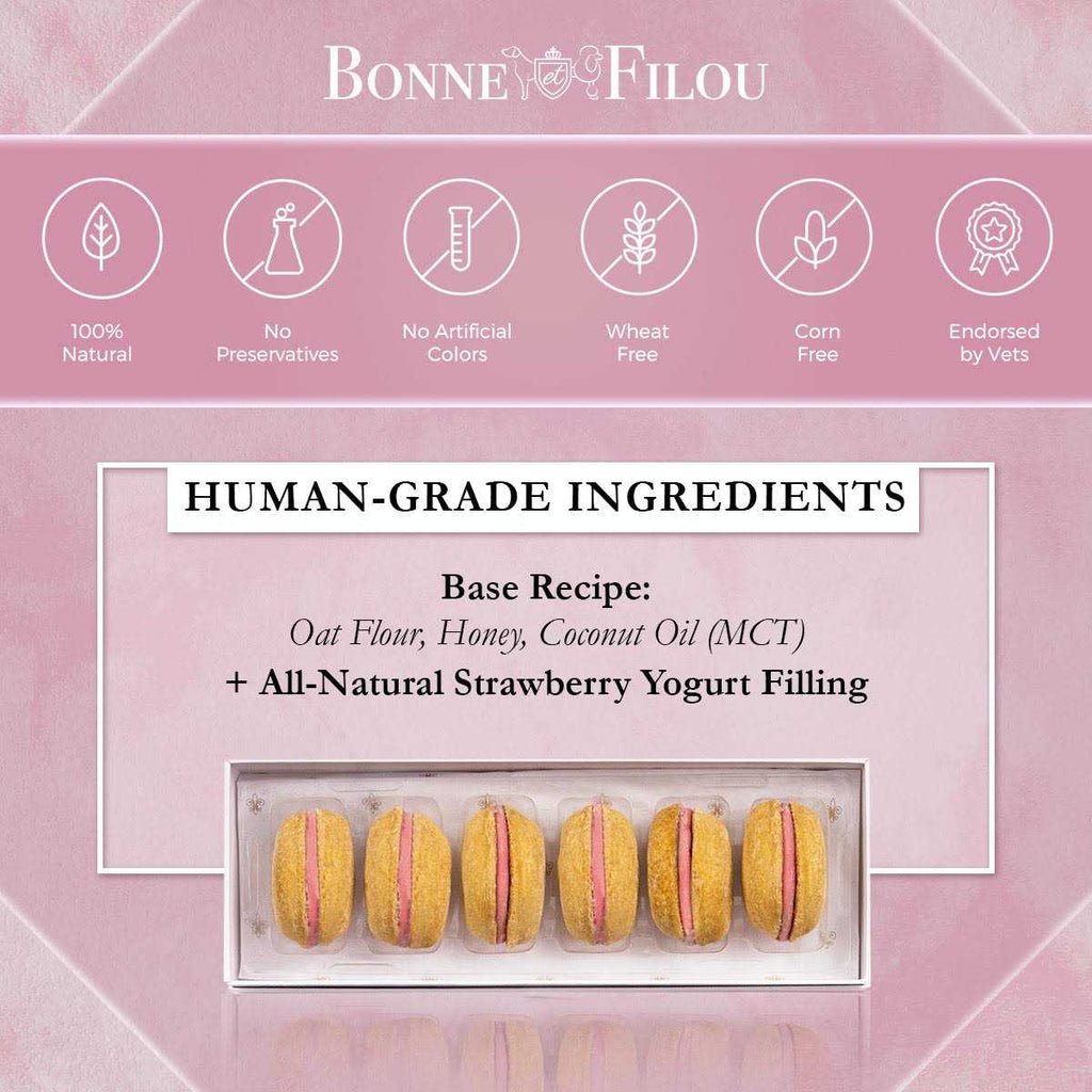 Dog Macarons X458344