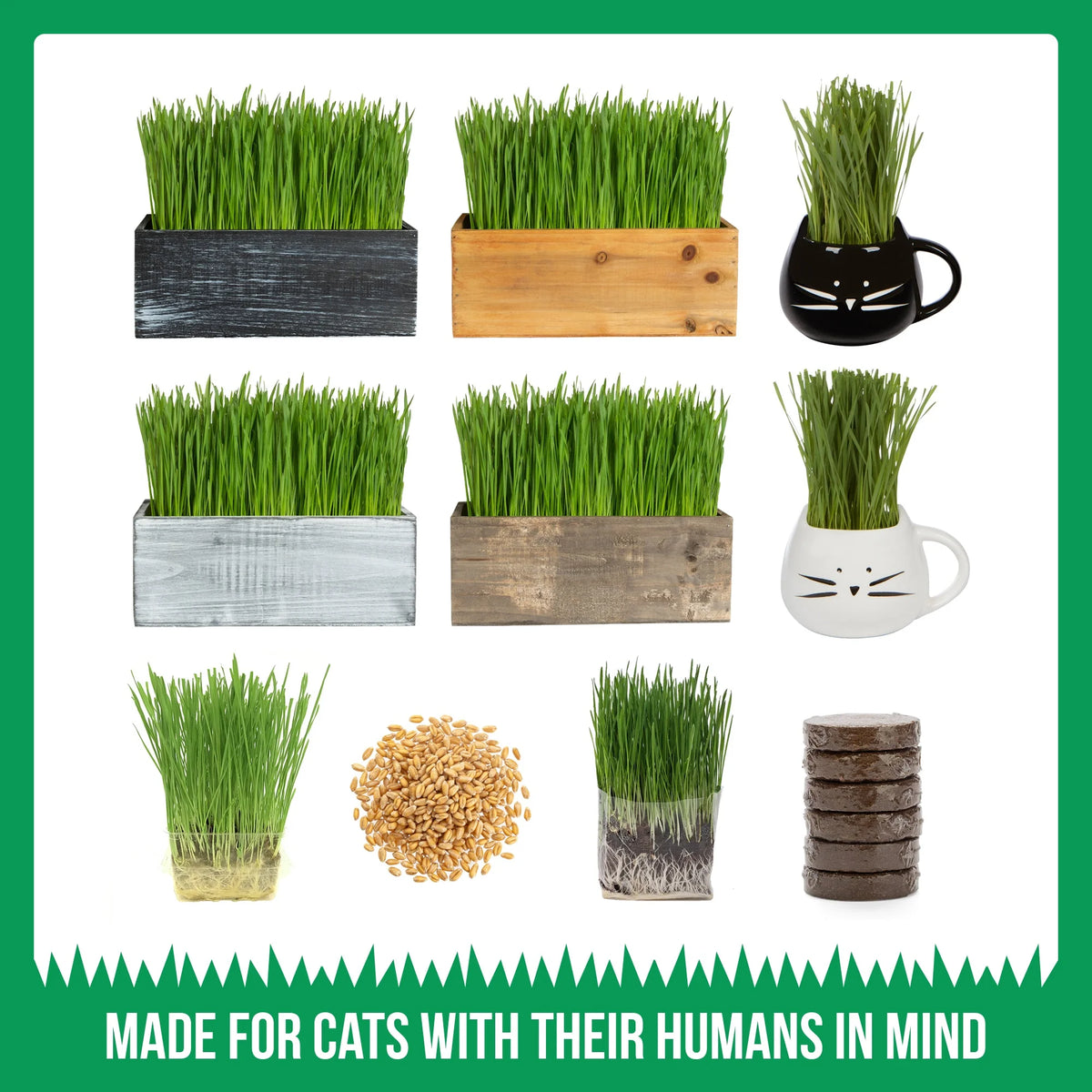 Organic Cat Grass Growing Kit with Mug Planter V713332