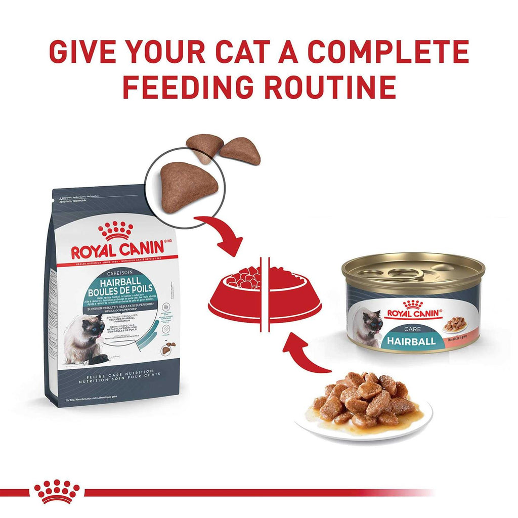 Indoor Hairball 34 Cat Dry Food L407663