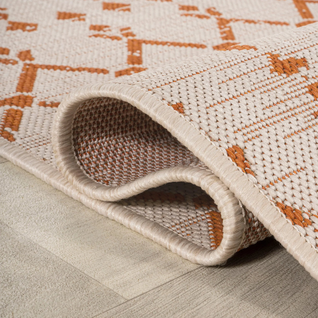 Cream Orange 4 ft. x 6 ft. Indoor Outdoor Area Rug F350398