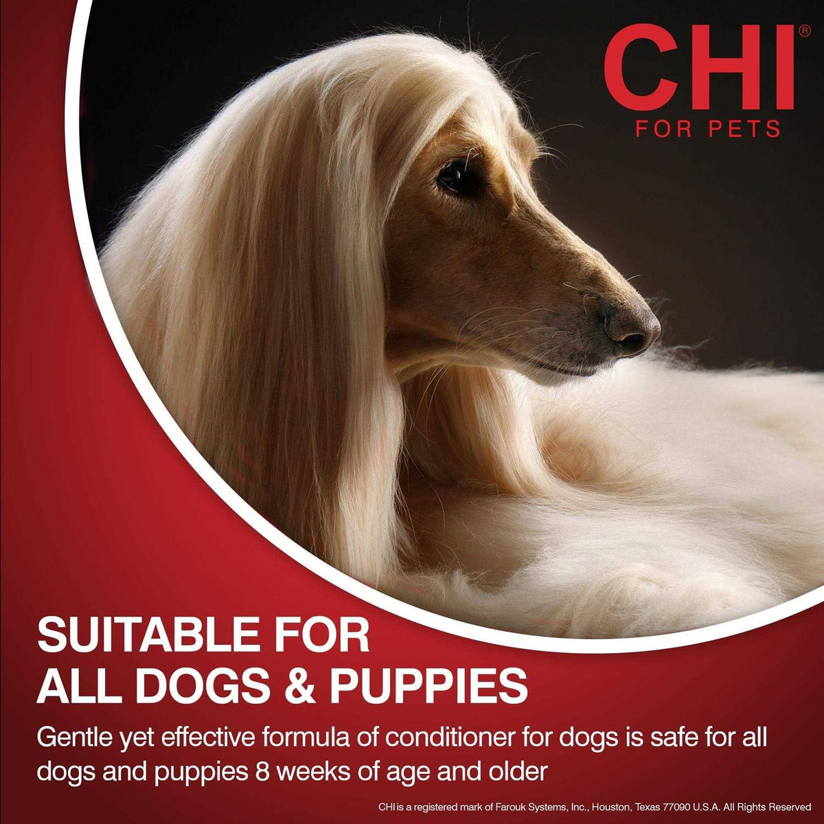 Moisturizing Dry Shampoo for Dogs A744
