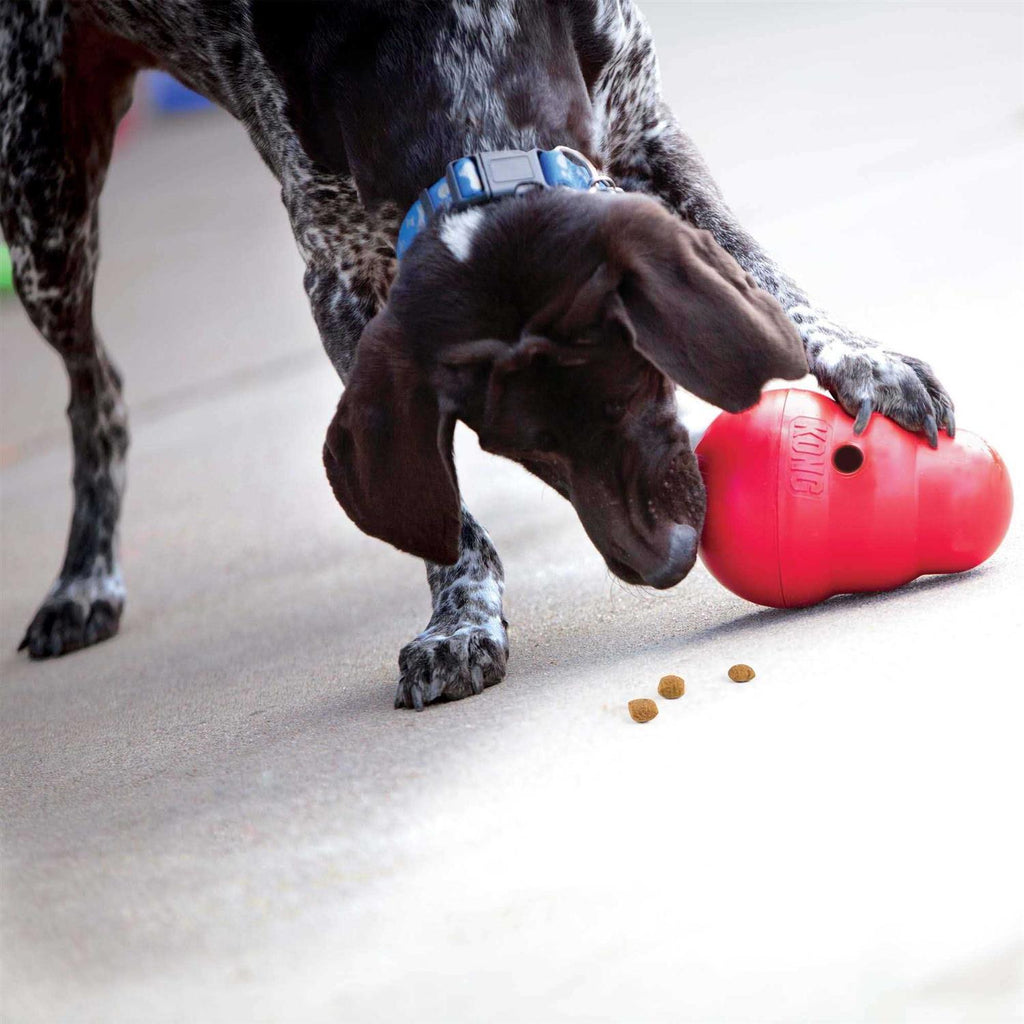 Dog Toy U297