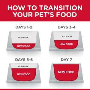 Chicken Recipe Dry Cat Food W43054