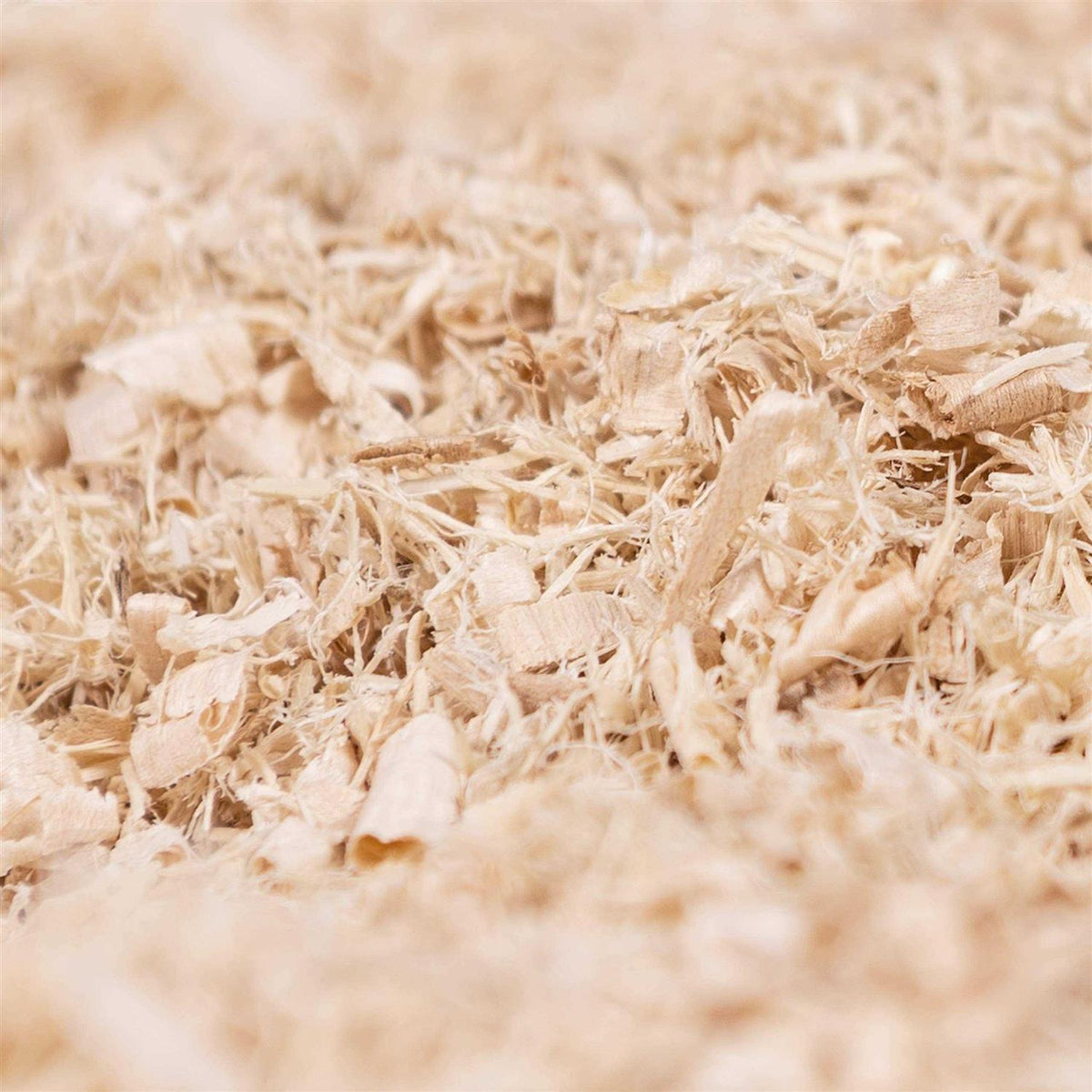 Pet Bedding C284290