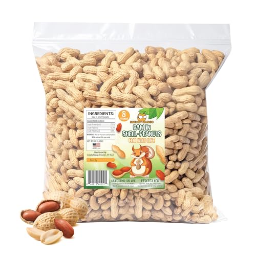 Raw Peanuts in Shell 8 Pounds X679835