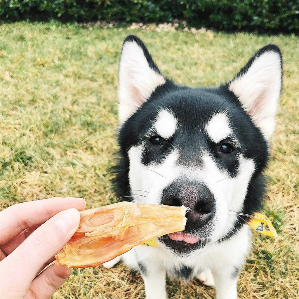 Beef Tendon Dog Chews Q912