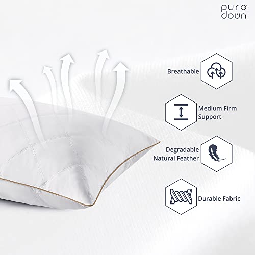 Goose Feathers and Down Pillow Set of 2 Queen F71021