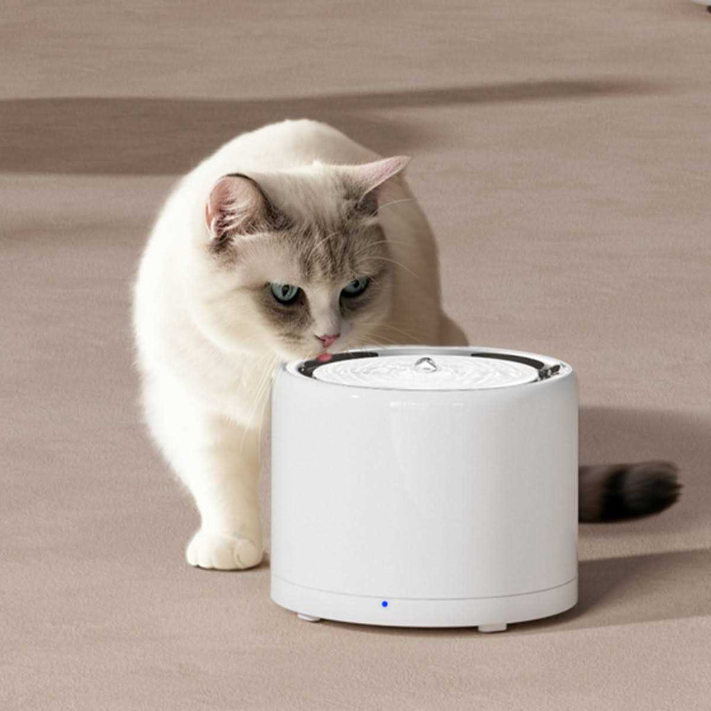 Pet Water Fountain D477171