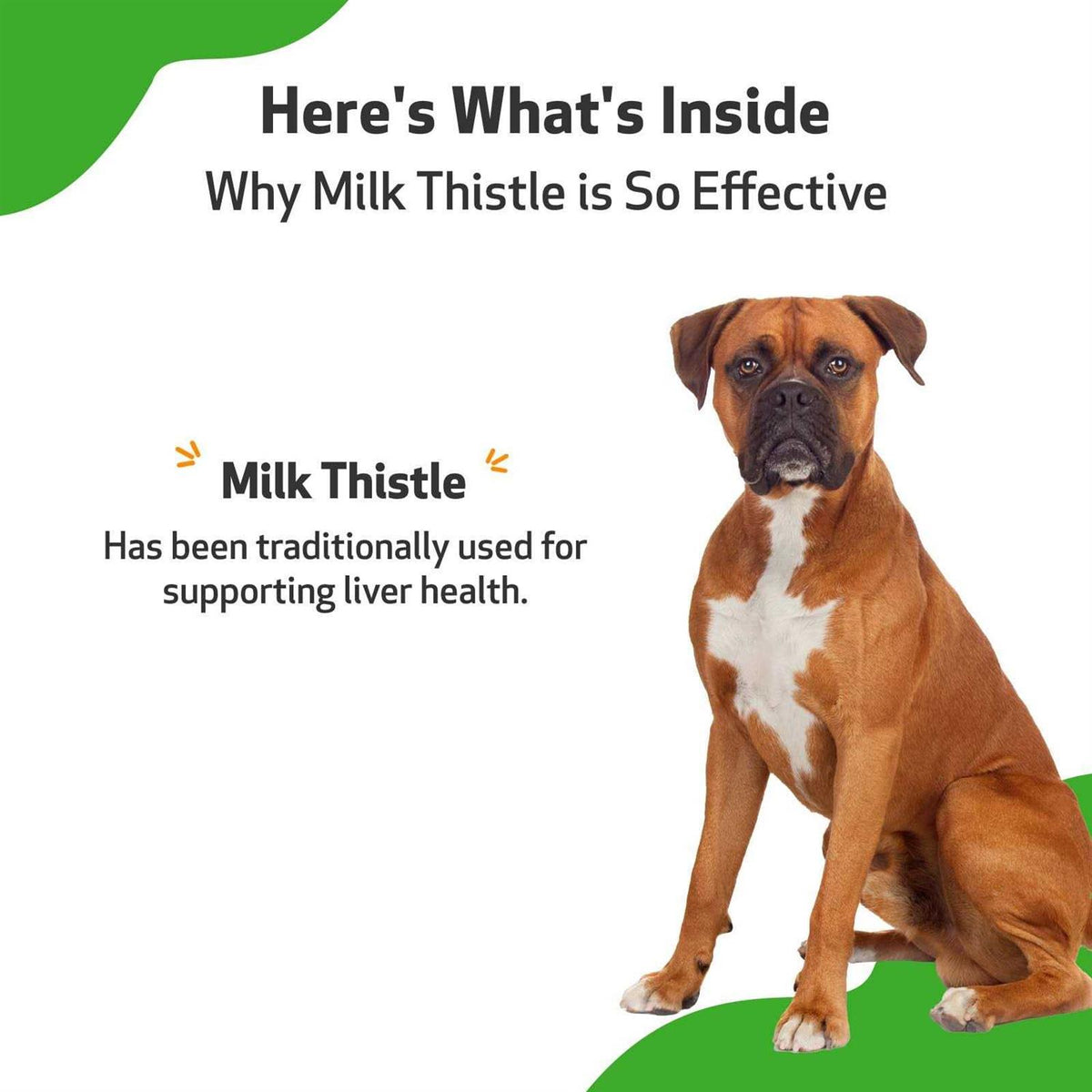 Milk Thistle for Dogs N614066