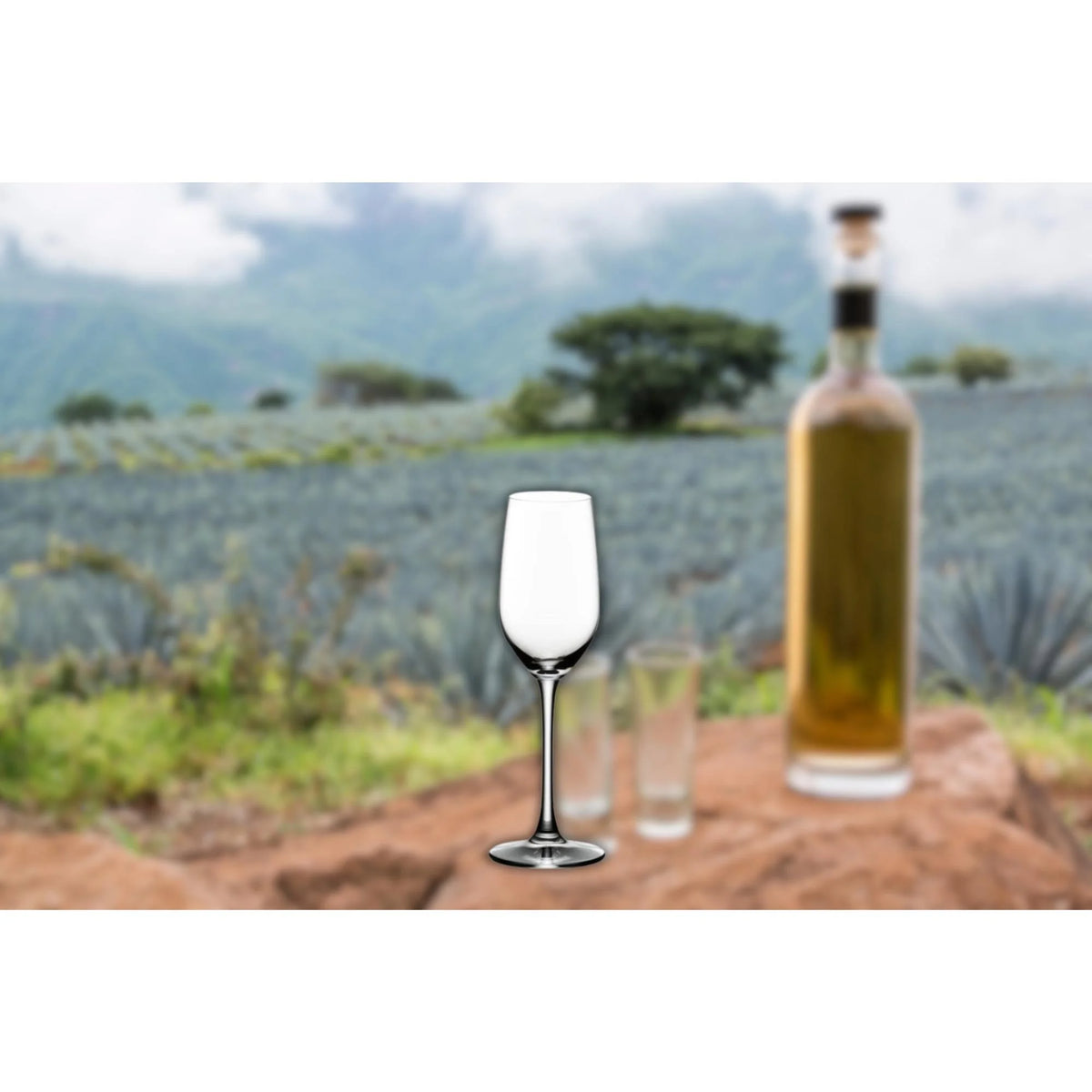 Tequila Glasses with Wine Aerator and Wine Pourer 12-Pack X766756