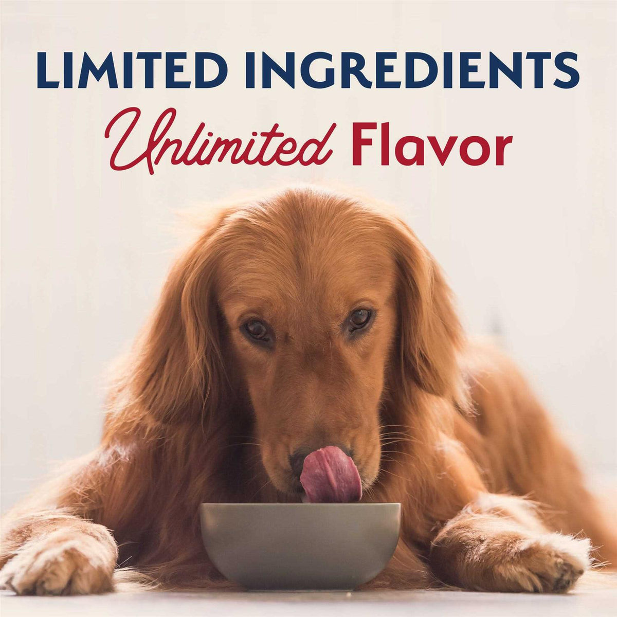 Limited Ingredient Dry Dog Food Sweet Potato Bison O5188