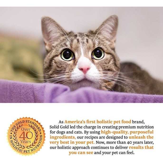 Solid Gold Triple Layer Pate Mousse & Shreds Pumpkin Cat Food U78671