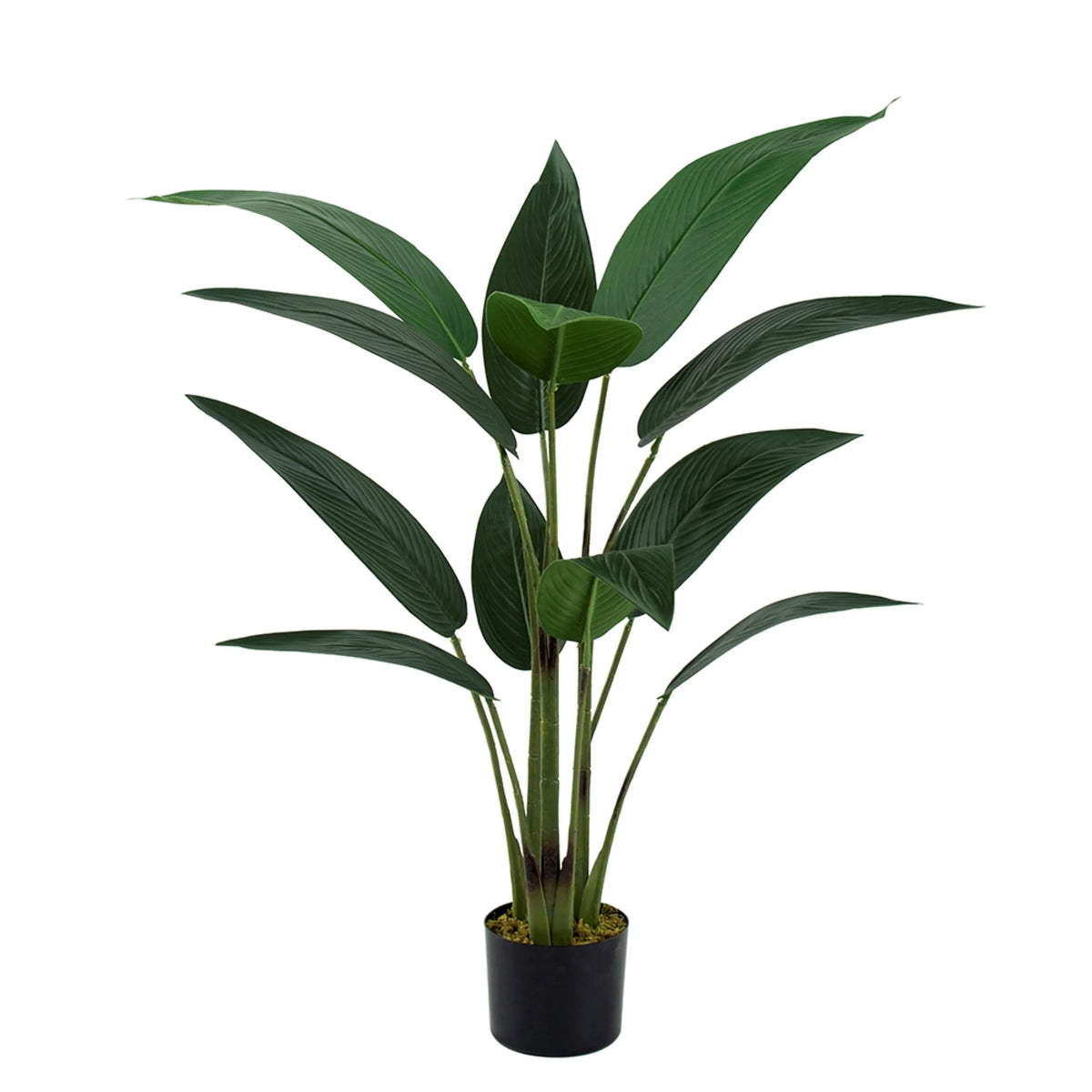 Birds of Paradise Tree in Black Pot 45.25" S197