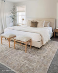 Oriental Ivory Sand Area Rug V84499