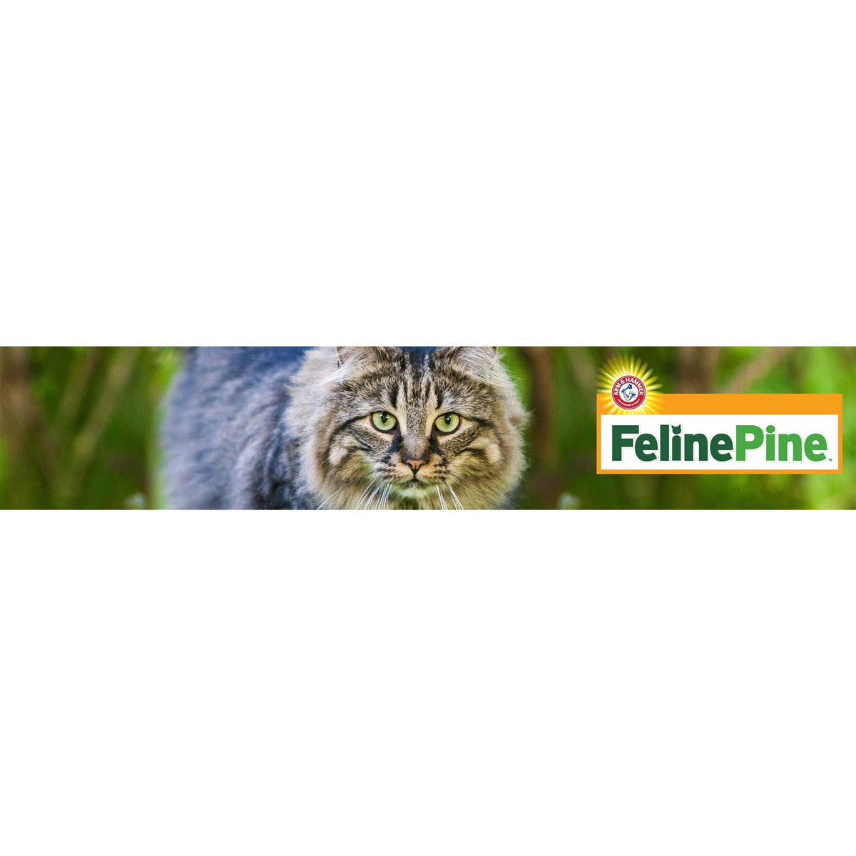 Cat Litter J1323