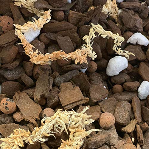 Orchid Potting Mix R35929