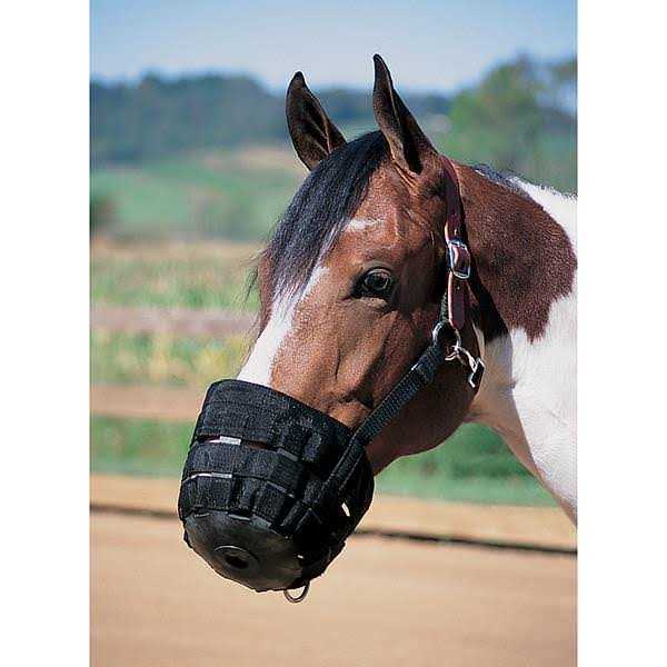 Leather Grazing Muzzle K436