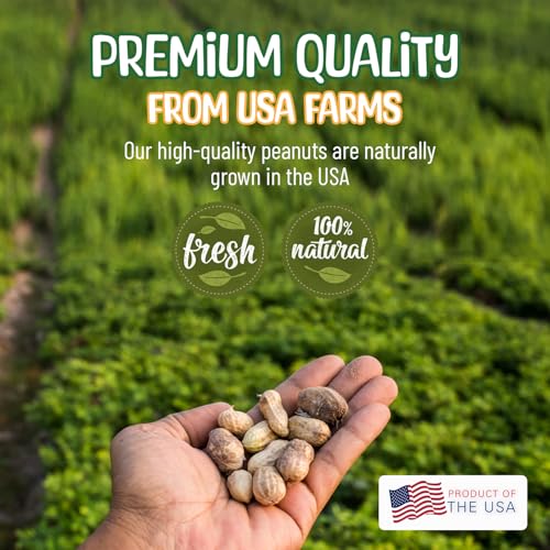 Raw Peanuts in Shell 8 Pounds X679835