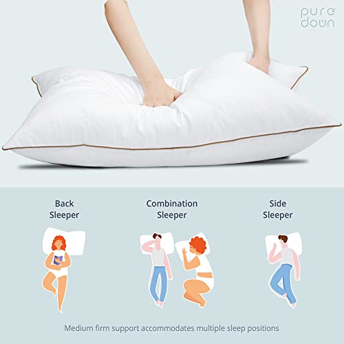 Goose Feathers and Down Pillow Set of 2 Queen F71021