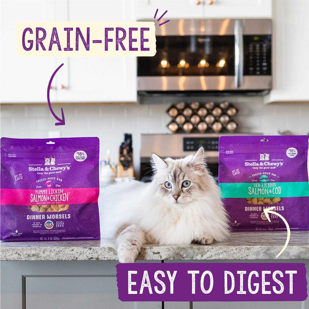 Freeze-Dried Salmon Chicken Cat Food Z69244