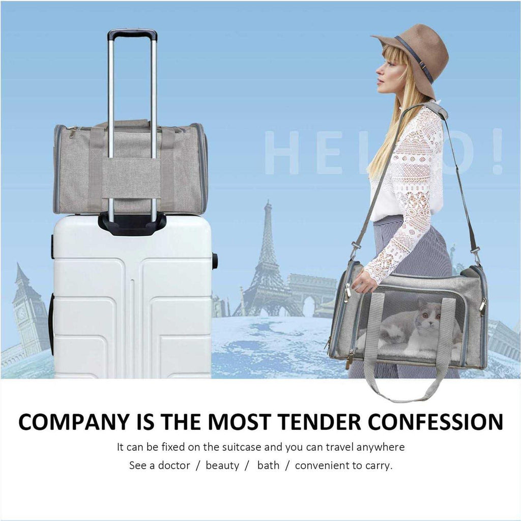 Pet Carrier for Cats, Dogs and Puppies U2240