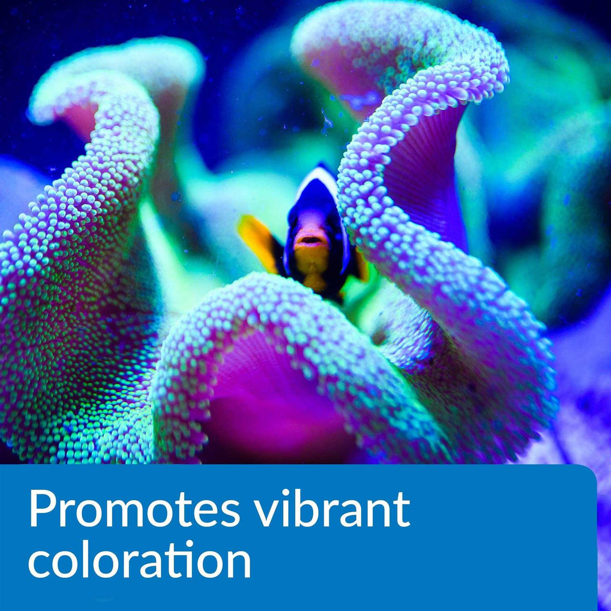 Aquarium Water Conditioner Z235